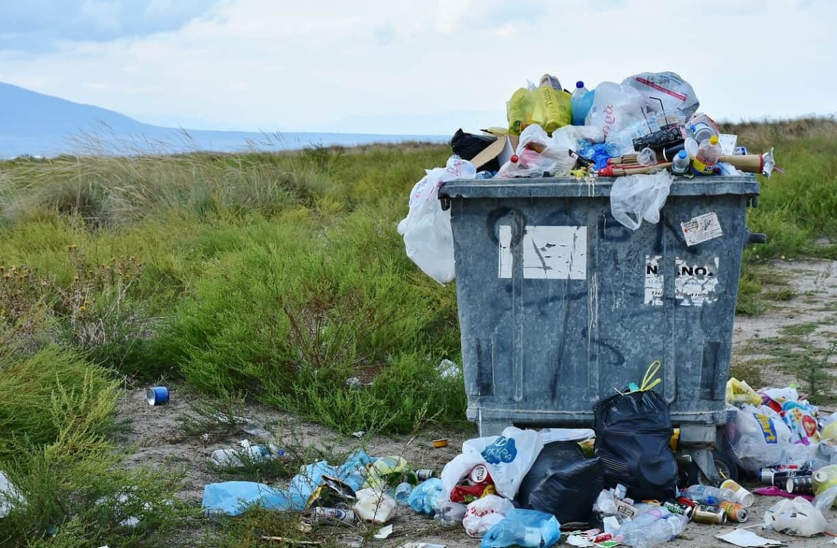 Trash bins in toilets