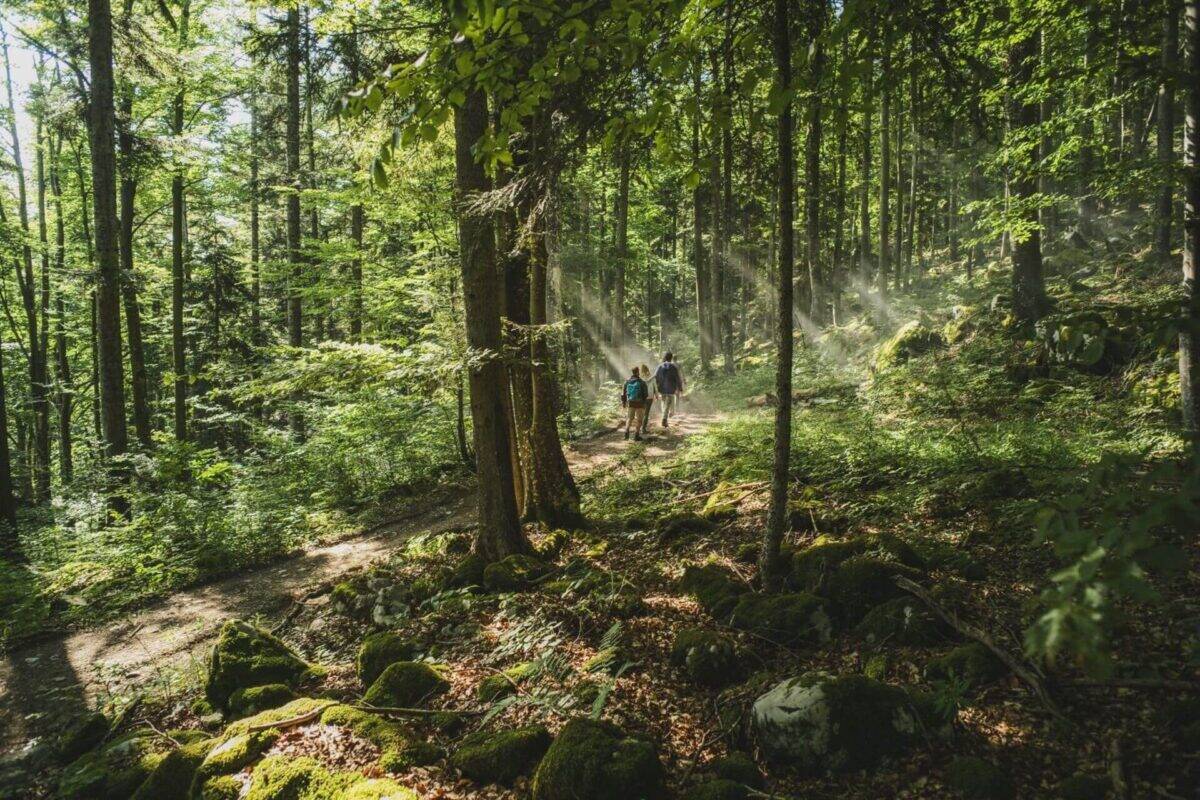 Slovenia Where the adventure begins