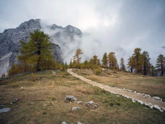 Serene mountain landscape with a trail leading to Erjavčeva mountain hut surrounded by pine trees and misty peaks.