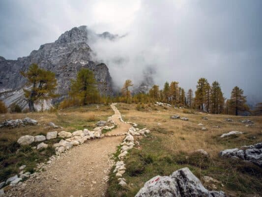 Rock with trail marker in front of forest and mountain scene, hiking path near Erjavčeva mountain hut, Slovenia.