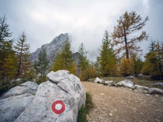 Rock with trail marker in front of forest and mountain scene, hiking path near Erjavčeva mountain hut, Slovenia.