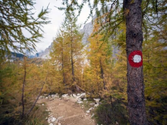 Scenic mountain trail leading to Erjavčeva Mountain Hut with autumn trees and a rugged mountain peak in the background.