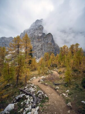 Scenic mountain trail leading to Erjavčeva Mountain Hut with autumn trees and a rugged mountain peak in the background.