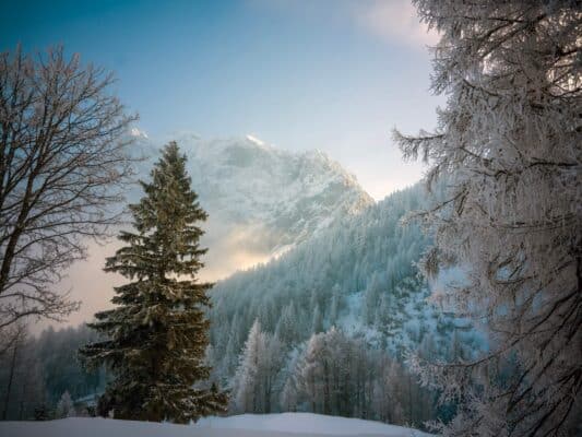 Why Visit the Vršič Pass in Slovenia Near Kranjska Gora in Winter