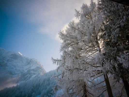 Why Visit the Vršič Pass in Slovenia Near Kranjska Gora in Winter?