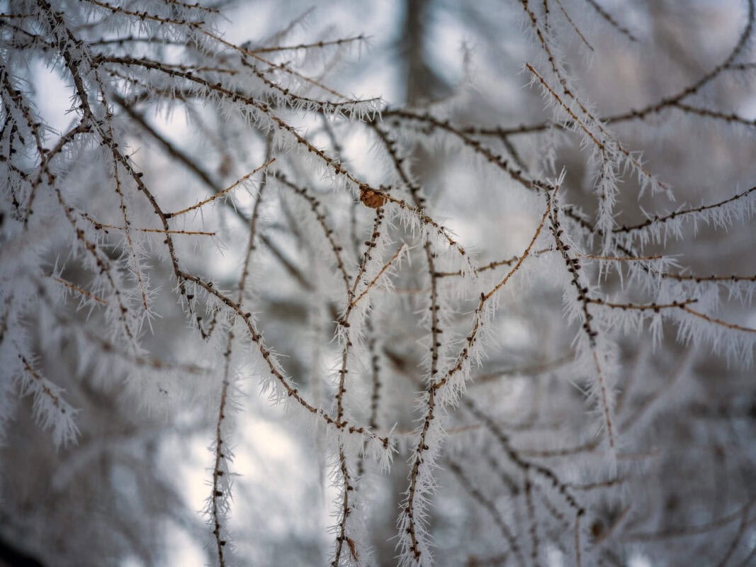 Why Visit the Vršič Pass in Slovenia Near Kranjska Gora in Winter?