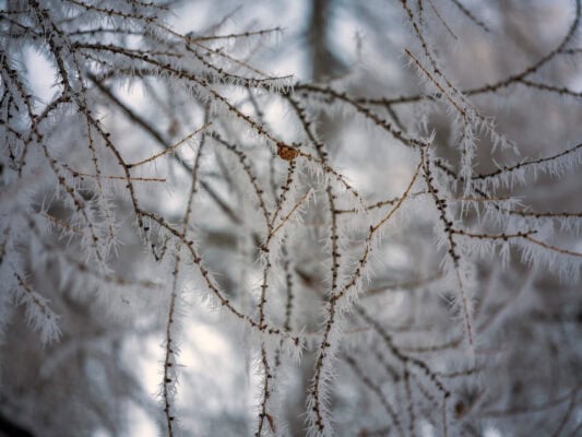 Why Visit the Vršič Pass in Slovenia Near Kranjska Gora in Winter?